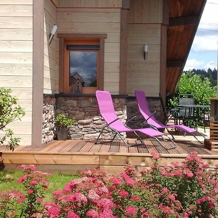 Chalet La Petite Perle Gérardmer Exteriör bild