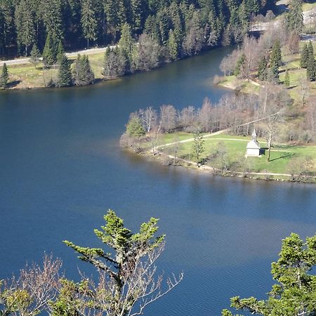 Chalet La Petite Perle Gérardmer Exteriör bild