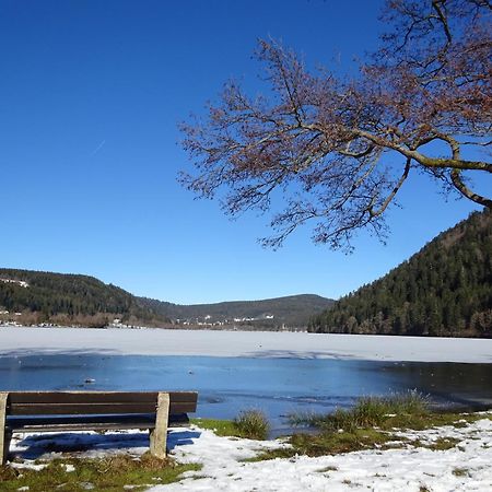 Chalet La Petite Perle Gérardmer Exteriör bild