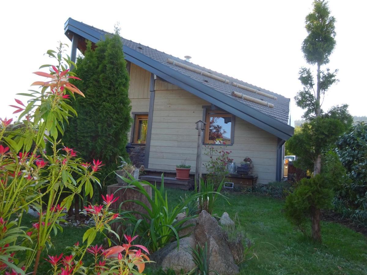 Chalet La Petite Perle Gérardmer Exteriör bild