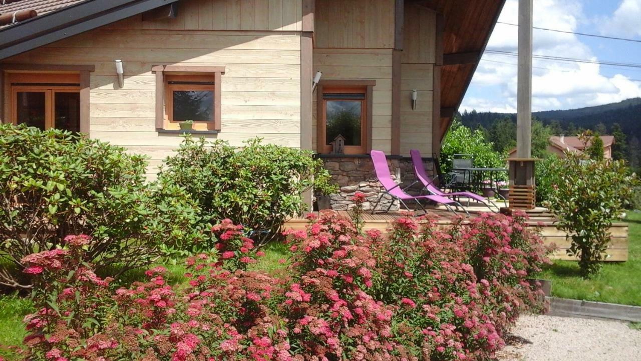 Chalet La Petite Perle Gérardmer Exteriör bild
