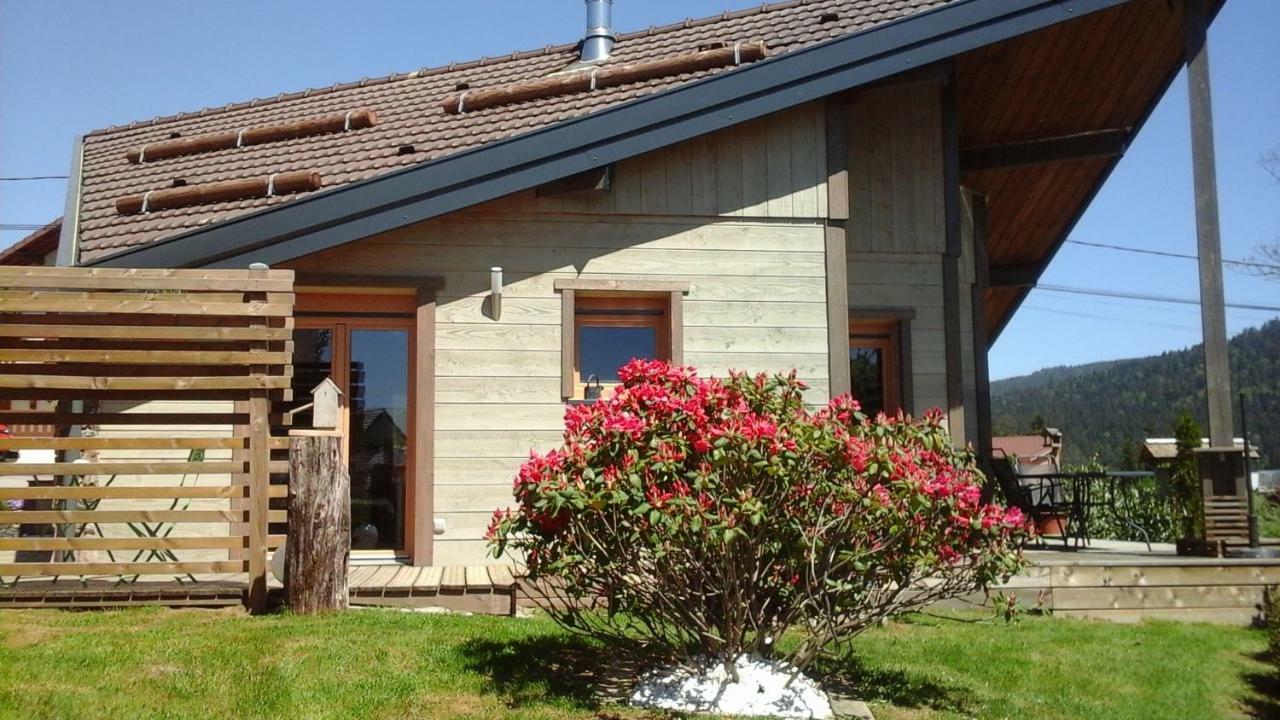 Chalet La Petite Perle Gérardmer Exteriör bild